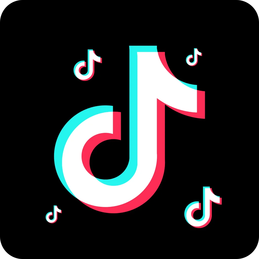 TikTok icon